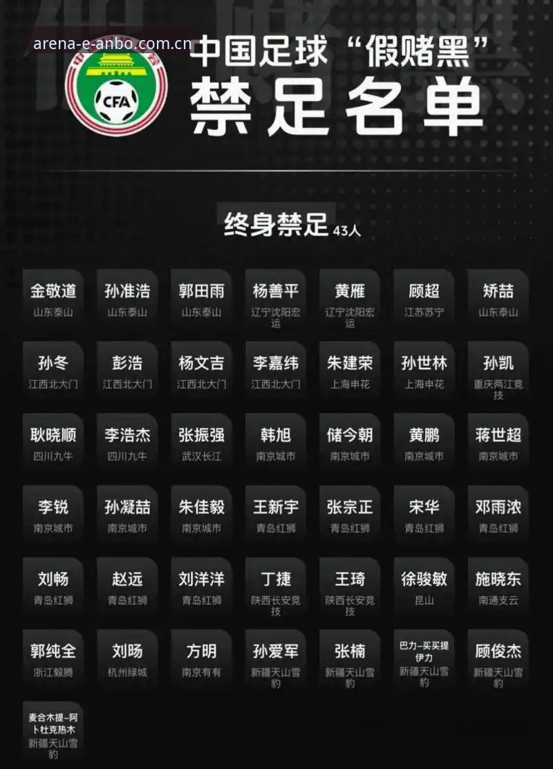 中国足协第三批禁足名单完整解读指南：从行业乱象到竞技平台的新秩序